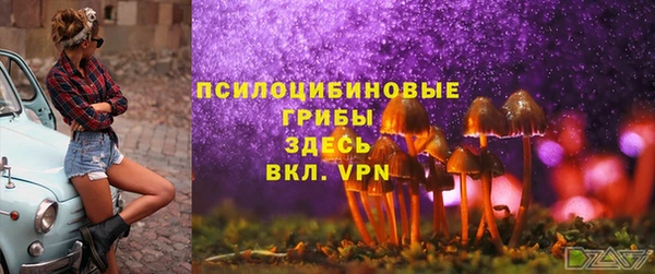 СК Алексин