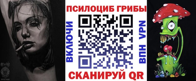 kraken вход  Котово  Псилоцибиновые грибы MAGIC MUSHROOMS 